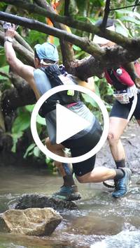 BIB:  <button type="button" onclick="openModal(27803869)" class="btn btn-primary btn-sm float-right" data-toggle="modal" data-target=".modal-high-quality">
                <i class="fa fa-download"></i> Download
                </button>